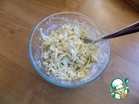 ˸���� ����� � ������������ �������� �����������