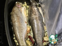 ���� ���� �����������