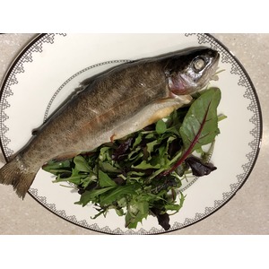 ���� ����