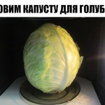 ������� ��� ��������