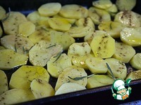 ������ � ������ �����������