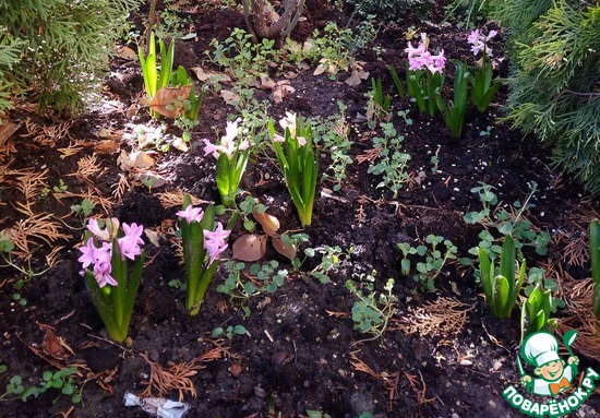 �������.