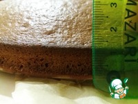 ���� "�����" �����������