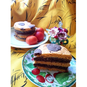 �������-���������� ��������