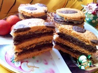 �������-���������� �������� �����������