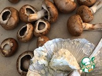 ��������-������� ������� �����������