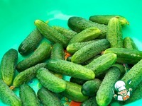 ����������� ������ � ����� �����������