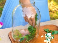 ����������� ������ � ����� �����������