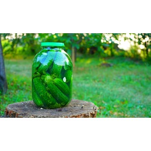 ����������� ������ � �����