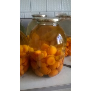 ������ �� ���������