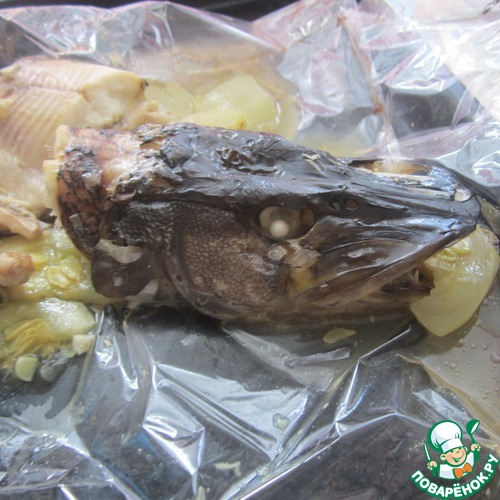 ����, ��������� � ���������