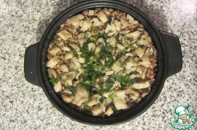 ����� � ������� ����������