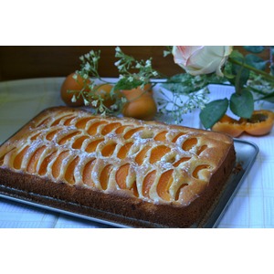 ������� ����� � ����������