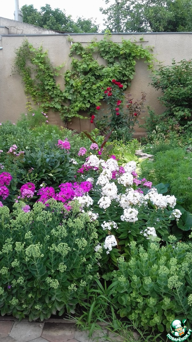 � ������� ��� ������ ������ (����� �����).