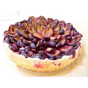 �������� �����