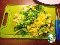 ���������� ����� "����" �����������