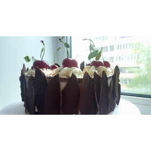 ���� "������ ���"