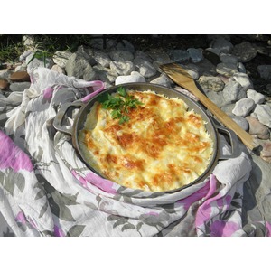 ��������� �� ������������ ���������