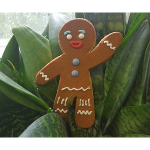 ��������� ������� ��������� �����