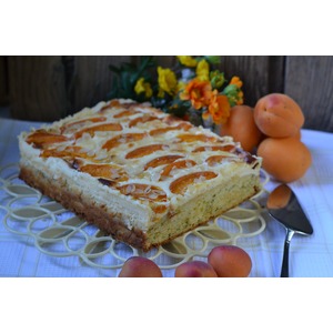 ����� � �������� � ����������