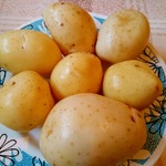 ��� ������ ��������� ������� ��������