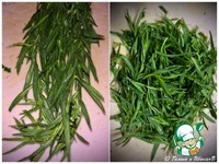 �������� � ������� � ������ �����������