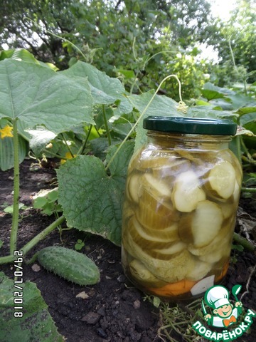 Огуречные кружочки – кулинарный рецепт