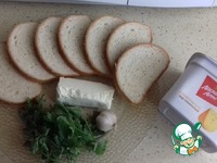 ��������-�������� ������ � ����� �����������