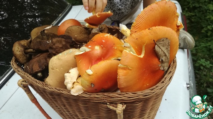 ������� ��������