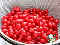 �����-�������� ���� �� ���� �����������