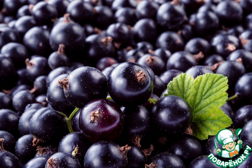 ������ ��� ����� ��... ������ ���������