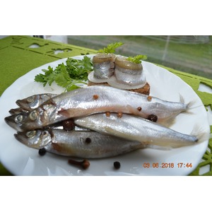 ����� �����������