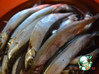 ����� ����������� �����������