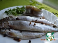 ����� ����������� �����������