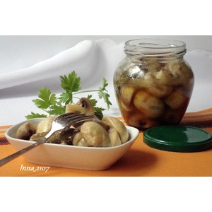 ������������ ���������� ��-������������