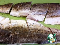 ���� ��� �������-��������� ������ �����������