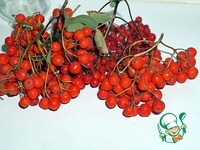 ���� ��������� �����������