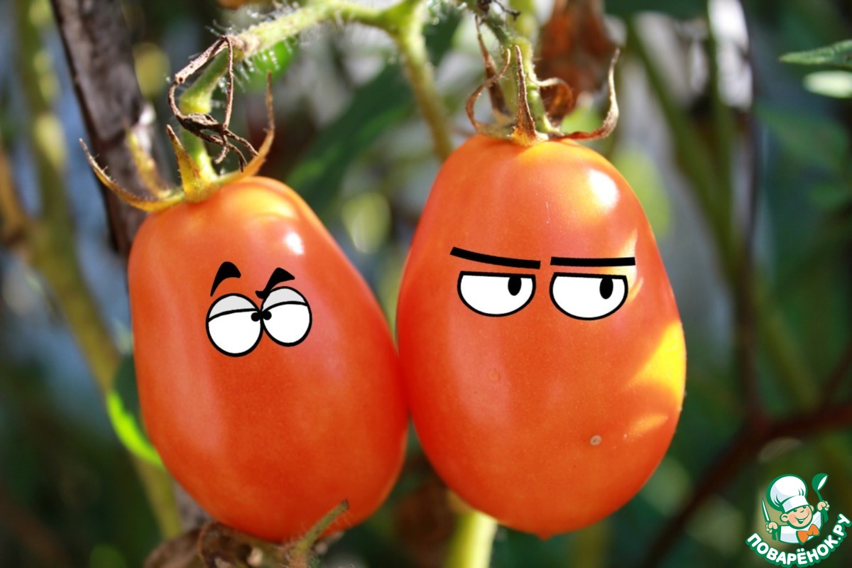 �� �� ��������: ��������� ������ �� �����������!