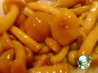 ����� "��� �������" �����������