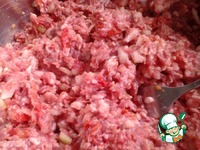 ����� "������" �� ����� �� ������ �����������