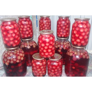 ������ �� ������� � ������� � �����