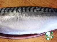 �������� � ��������-������ ����� �����������