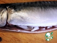 �������� � ��������-������ ����� �����������