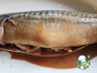 �������� � ��������-������ ����� �����������