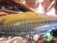 �������� � ��������-������ ����� �����������