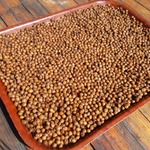 �� ������������ �������� ��������