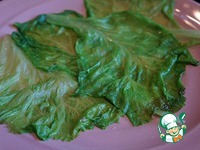 ����� � ������������ �����������