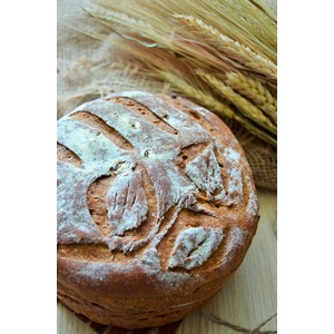 ���� "���������"