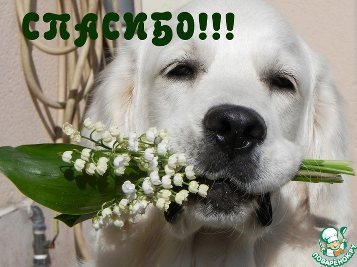 ������� ���... ����, �������.