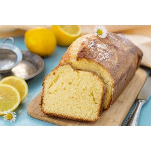 �������� ����� "��������"